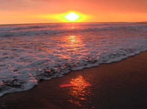 A wedding photo at The Delfin Beachfront Resort, Playa Bejuco, Costa Rica
